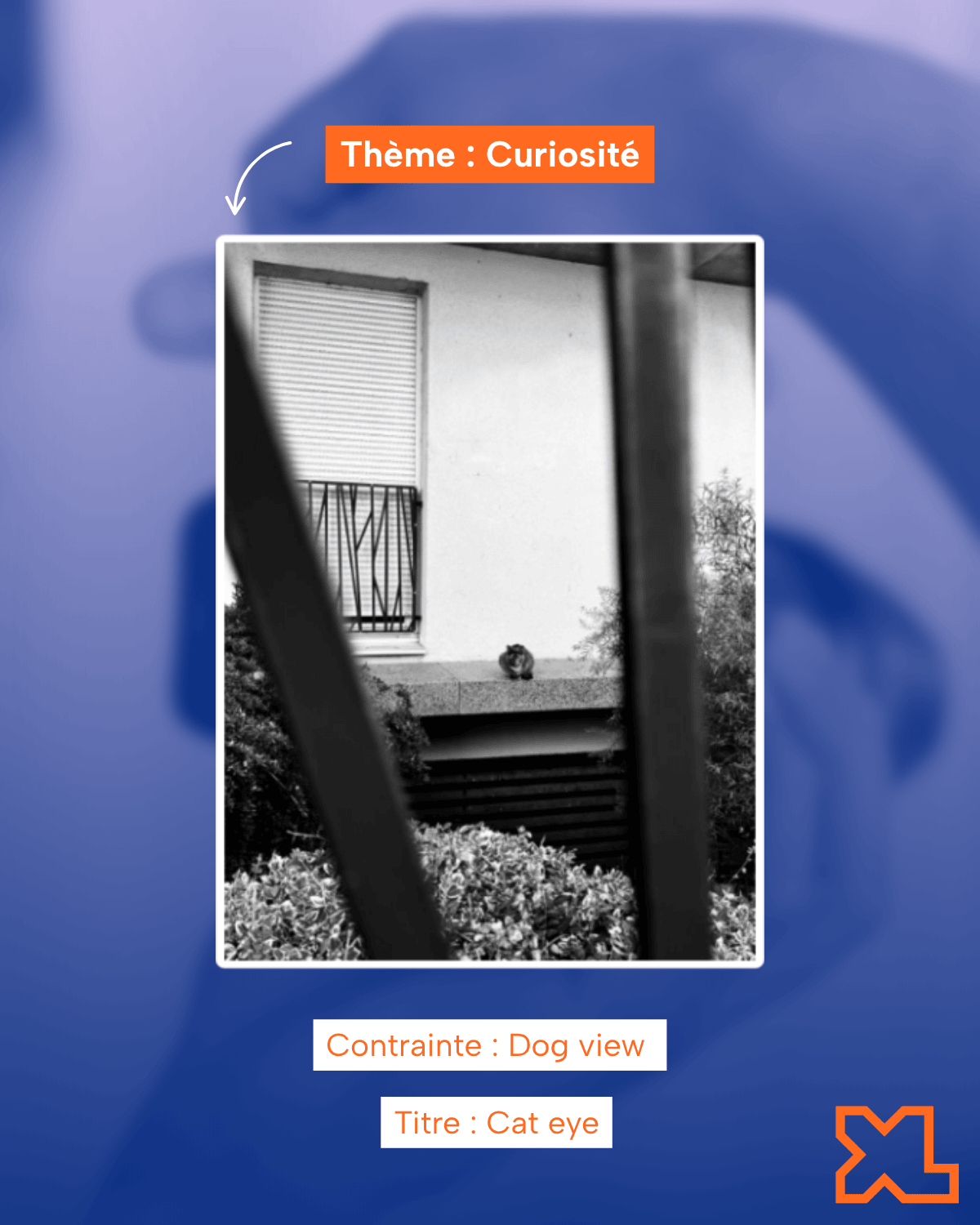 Year 3 Bachelor & Year 1 MSc Students'